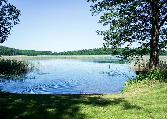 Apartmán Zwirek Muchomorek