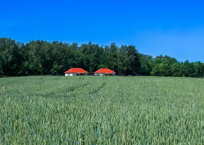 Zwirek Muchomorek Apartmán Sterlawki Male